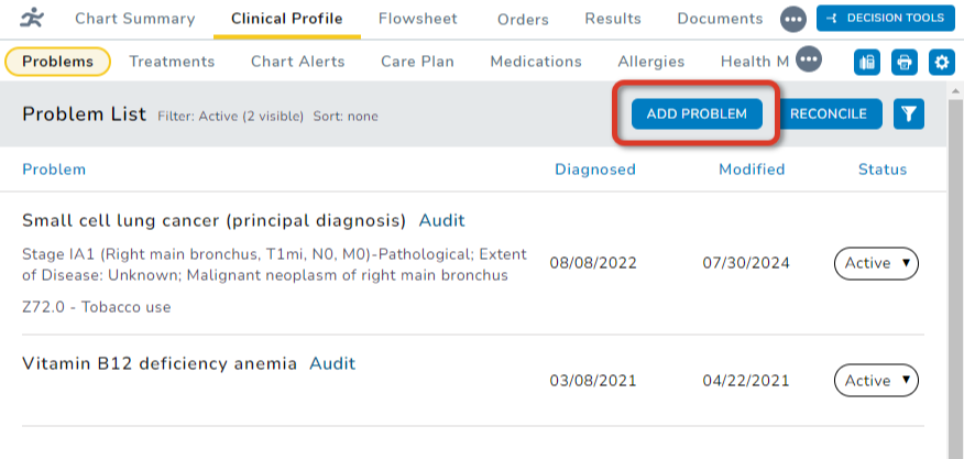The Problem List with the Add Problem button highlighted - click to enlarge The Problem List with the Add Problem button highlighted