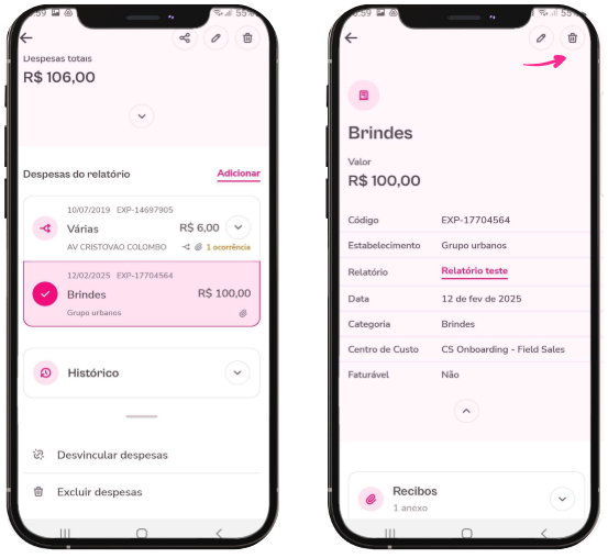 Imagem exemplo de despesa com foco na opção de excluir.