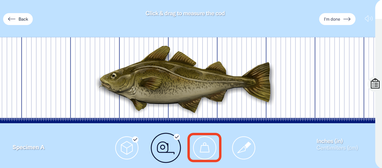 The 3D cod is placed on a measuring board. There are four icons below it: a cube, a tape measure, a weight, and a scalpel. The weight icon is highlighted. - click to enlarge The 3D cod is placed on a measuring board. There are four icons below it: a cube, a tape measure, a weight, and a scalpel. The weight icon is highlighted.