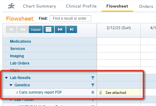 The Flowsheet displaying a Molecular Result report entry - click to enlarge The Flowsheet displaying a Molecular Result report entry