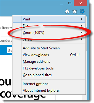 Zoom in IE 10