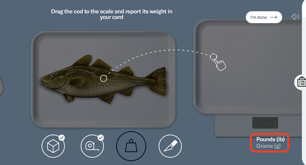 The 3D cod is placed on a tray next to a scale. A drag and drop icon explains that you have to drag the cod onto the scale. Highlighted in the bottom right corner are the units of measurement (pounds and grams). - click to enlarge The 3D cod is placed on a tray next to a scale. A drag and drop icon explains that you have to drag the cod onto the scale. Highlighted in the bottom right corner are the units of measurement (pounds and grams).
