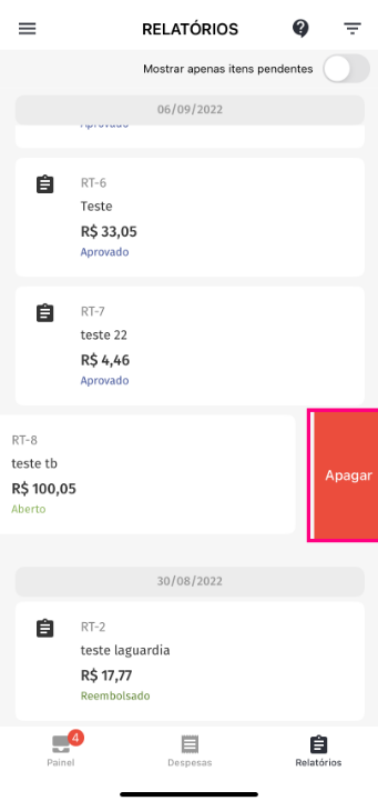 imagem do aplicativo com destaque para a opção apagar