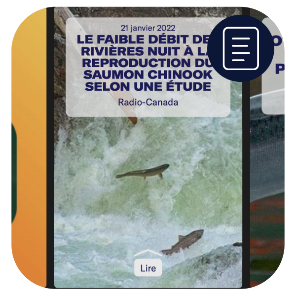 La bande d'actualités "Soyez au courant: saumon". L'icône des actualités utilisé sur le site Web de l'École de l'Océan se trouve dans le coin supérieur droit de l'image. Cette icône montre une page de document. - click to enlarge La bande d'actualités "Soyez au courant: saumon". L'icône des actualités utilisé sur le site Web de l'École de l'Océan se trouve dans le coin supérieur droit de l'image. Cette icône montre une page de document.