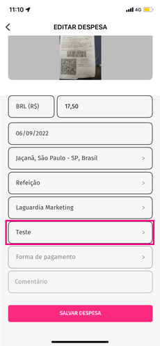 imagem exemplo de uma despesa com destaque para um relatório exemplo.