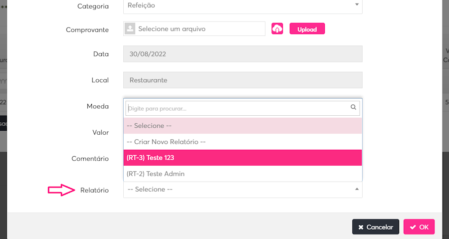 Imagem com destaque para o botão de relatório
