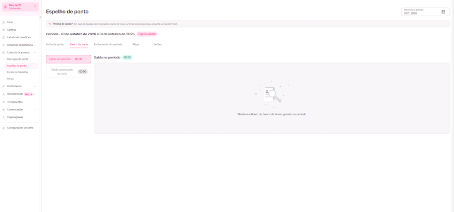 imagem exemplo da plataforma para visualizar espelho de ponto CDJ