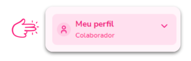 imagem do menu colaborador na plataforma Flash