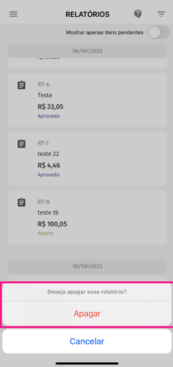 imagem com destaque para opção apagar para confirmar exclusão de relatório