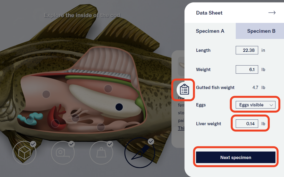 The clipboard icon was selected by the user to open Specimen A’s Data Sheet on the right side of the screen. The Data Sheet has fields for the user to note the cod’s length, weight, egg visibility, and liver weight. A “Next Specimen” button appears at the bottom of the sheet. The clipboard icon, liver weight field, egg visibility drop down menu, and “Next specimen” button are highlighted. - click to enlarge The clipboard icon was selected by the user to open Specimen A’s Data Sheet on the right side of the screen. The Data Sheet has fields for the user to note the cod’s length, weight, egg visibility, and liver weight. A “Next Specimen” button appears at the bottom of the sheet. The clipboard icon, liver weight field, egg visibility drop down menu, and “Next specimen” button are highlighted.