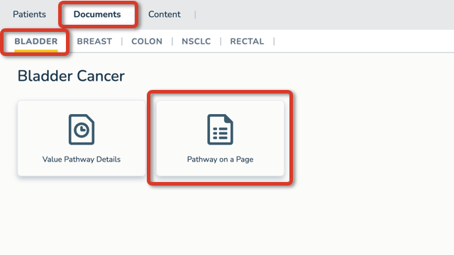 The ON.Path Documents tab showing the Value Pathway Details and Pathway on a Page documents, with highlights around the Documents tab, the Bladder sub-tab, and the Pathway on a Page tile - click to enlarge The ON.Path Documents tab showing the Value Pathway Details and Pathway on a Page documents, with highlights around the Documents tab, the Bladder sub-tab, and the Pathway on a Page tile