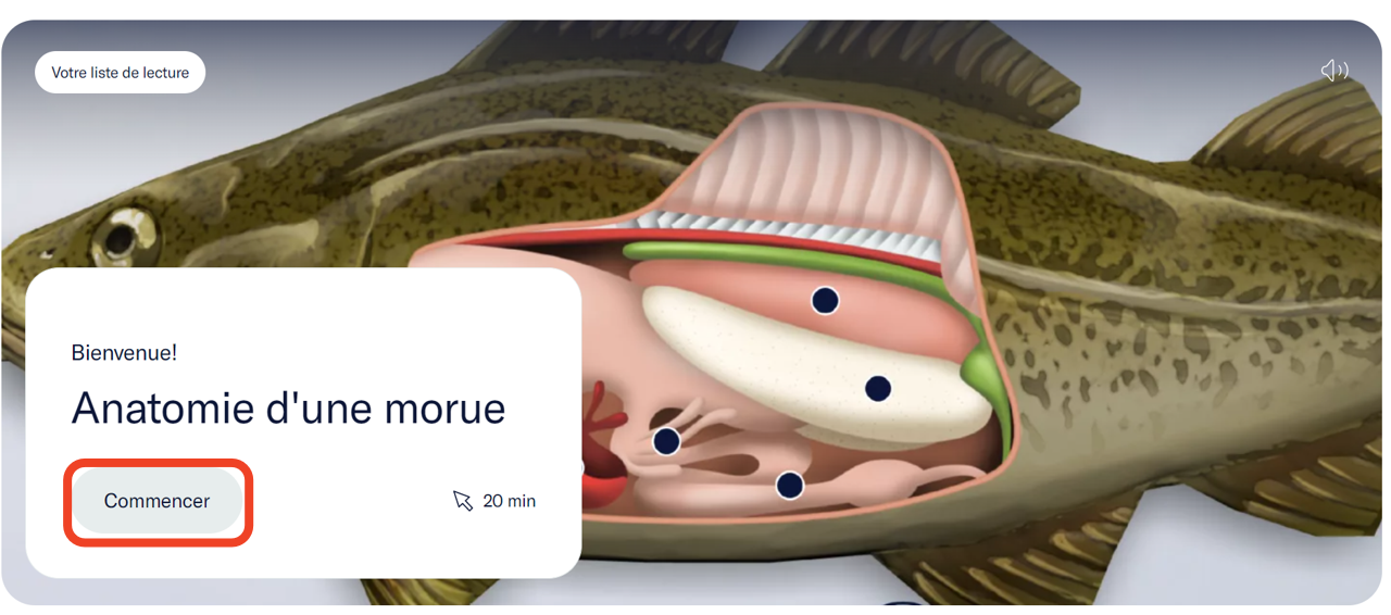 L'écran de bienvenue de l'expérience Anatomie d'une morue avec un bouton "Commencer". Il y a également un bouton de volume dans le coin supérieur droit. Les deux boutons sont mis en évidence. - click to enlarge L'écran de bienvenue de l'expérience Anatomie d'une morue avec un bouton "Commencer". Il y a également un bouton de volume dans le coin supérieur droit. Les deux boutons sont mis en évidence.