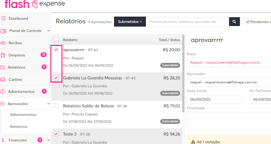 imagem com relatórios exemplos selecionados