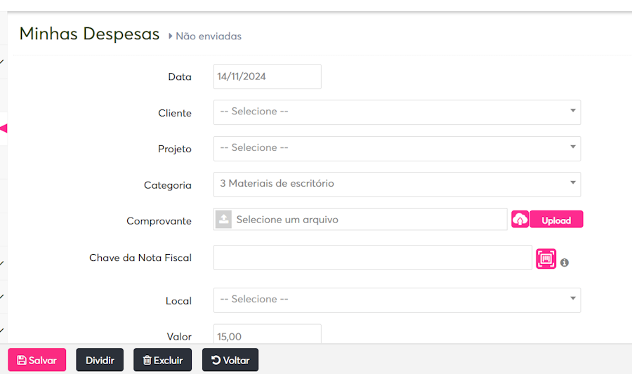 imagem da plataforma com despesa exemplo sem dados preenchidos