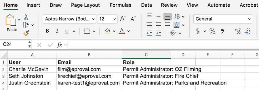 Completed Excel spreadsheet showing the pasted and formatted text.