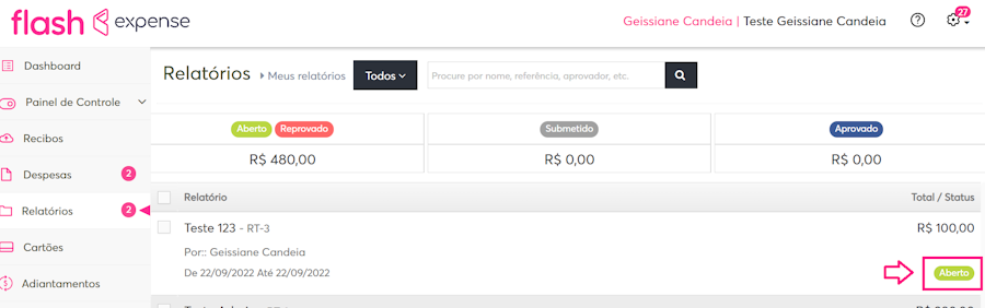 imagem da plataforma ao botão aberto de um relatório