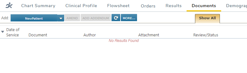 The Documents chart tab with no note listed - click to enlarge The Documents chart tab with no note listed