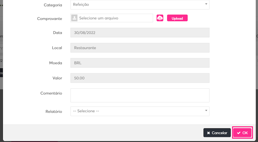 imagem com dados de despesa exemplo com destaque para o botão OK
