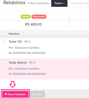 imagem da plataforma com destaque para opção de novo relatório