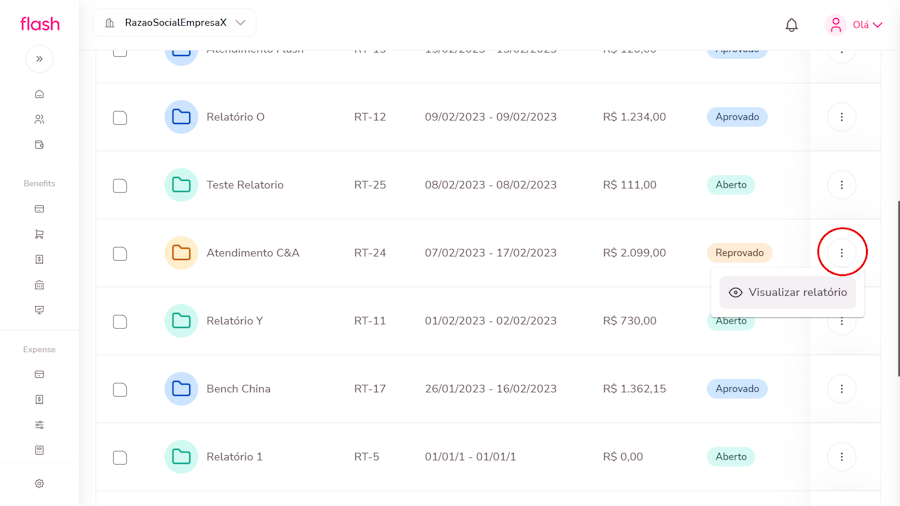 Imagem das opções para opção de visualizar relatório.