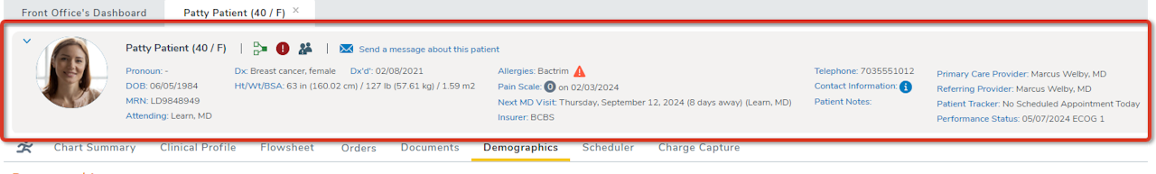 The expanded Patient Banner in a chart is highlighted - click to enlarge The expanded Patient Banner in a chart is highlighted