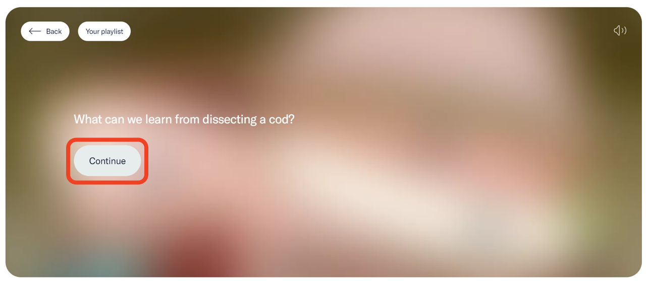 Information screen with a “Continue” button. The button is highlighted. - click to enlarge Information screen with a “Continue” button. The button is highlighted.