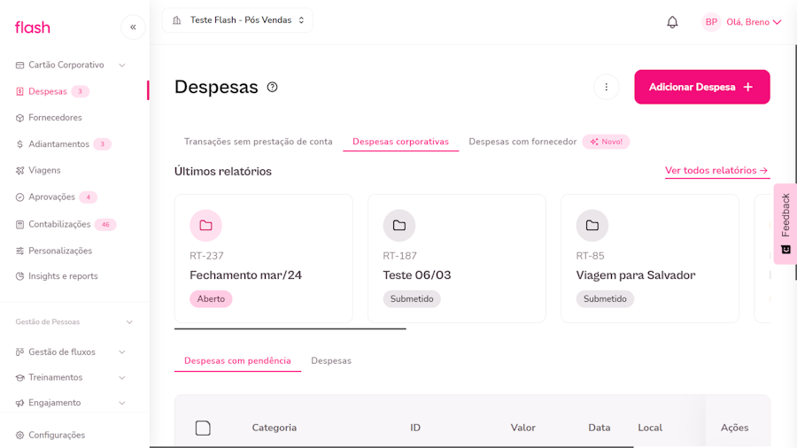 Imagem exemplo da opção de despesas