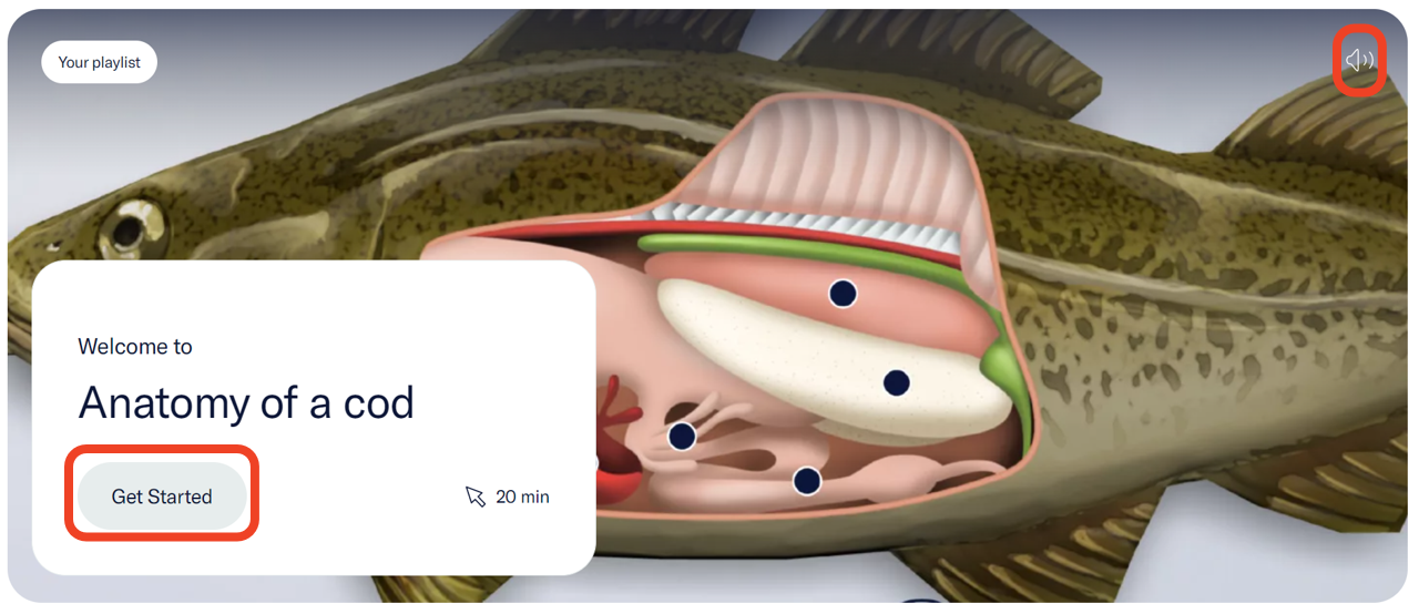 The Anatomy of a cod experience’s welcome screen with a “Get Started” button. There is also a volume button at the top right corner. Both buttons are highlighted. - click to enlarge The Anatomy of a cod experience’s welcome screen with a “Get Started” button. There is also a volume button at the top right corner. Both buttons are highlighted.