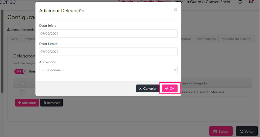 Imagem da opção de adicionar delegação com destaque para opção OK