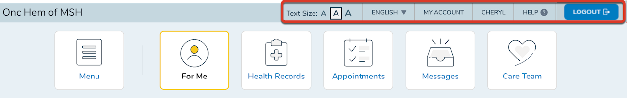 The Toolbar highlighted in Ontada Health - click to enlarge The Toolbar highlighted in Ontada Health