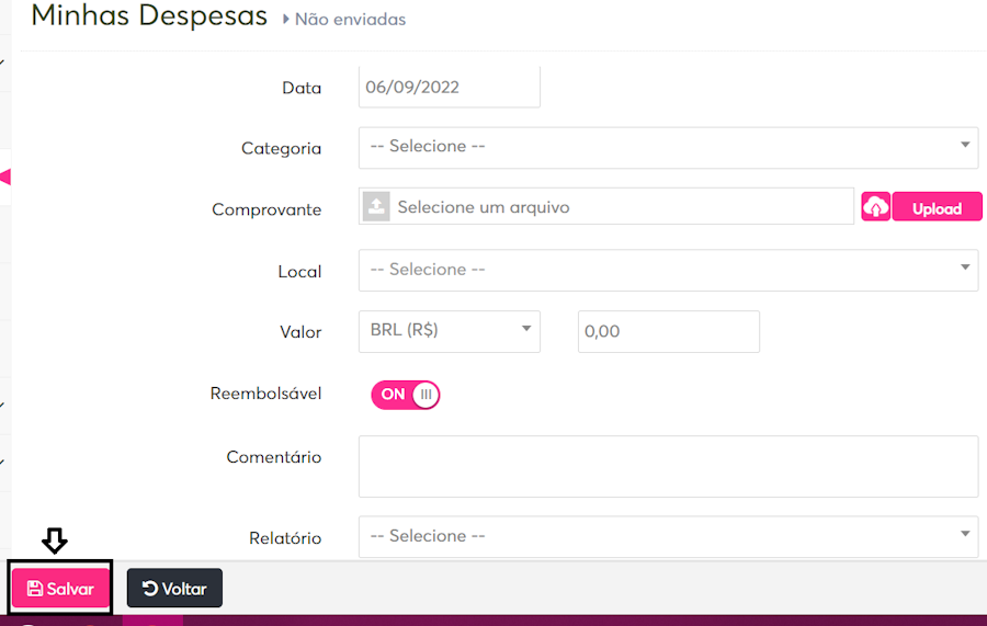 imagem com destaque para o botão salvar despesa