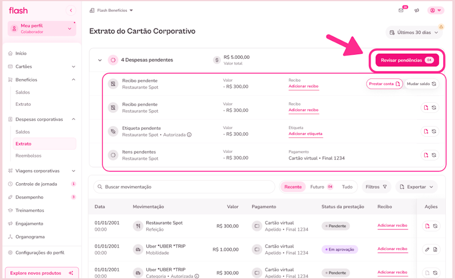 imagem da plataforma com destaque para despesa pendente via web