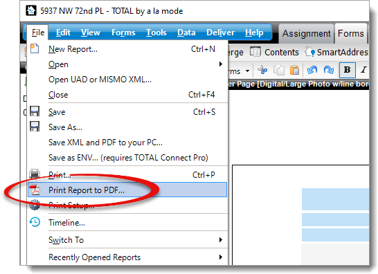 Print Report to PDF