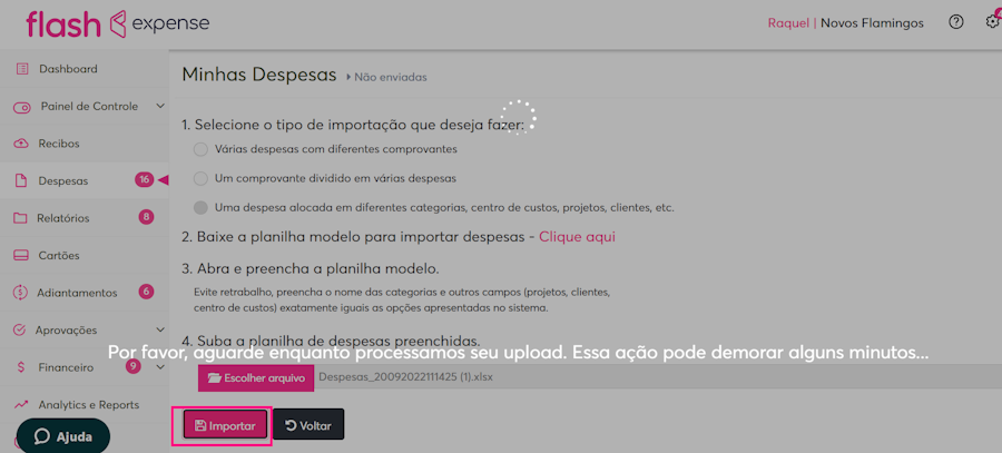 Imagem de despesa exemplo carregando ao clicar na opção importar.