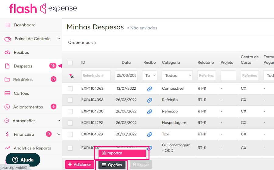 Imagem do menu despesas com foco na opção de importar.