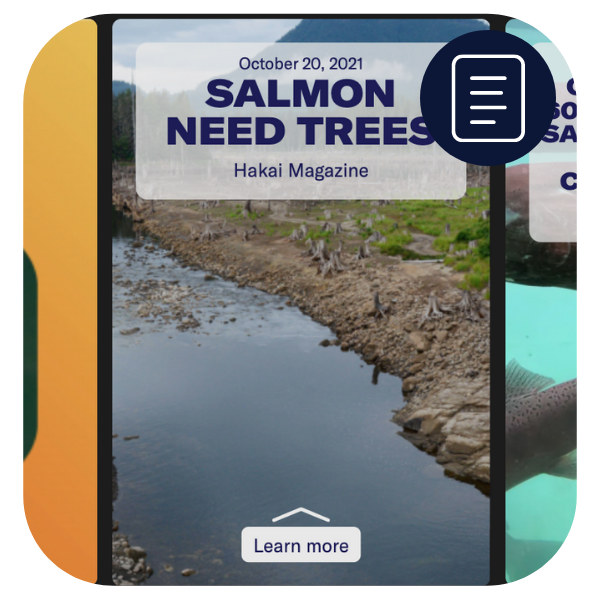 The “Current News: salmon” newsreel. The newsreel icon used on the Ocean School website is in the top right corner of the image. This icon shows a document page. - click to enlarge The “Current News: salmon” newsreel. The newsreel icon used on the Ocean School website is in the top right corner of the image. This icon shows a document page.