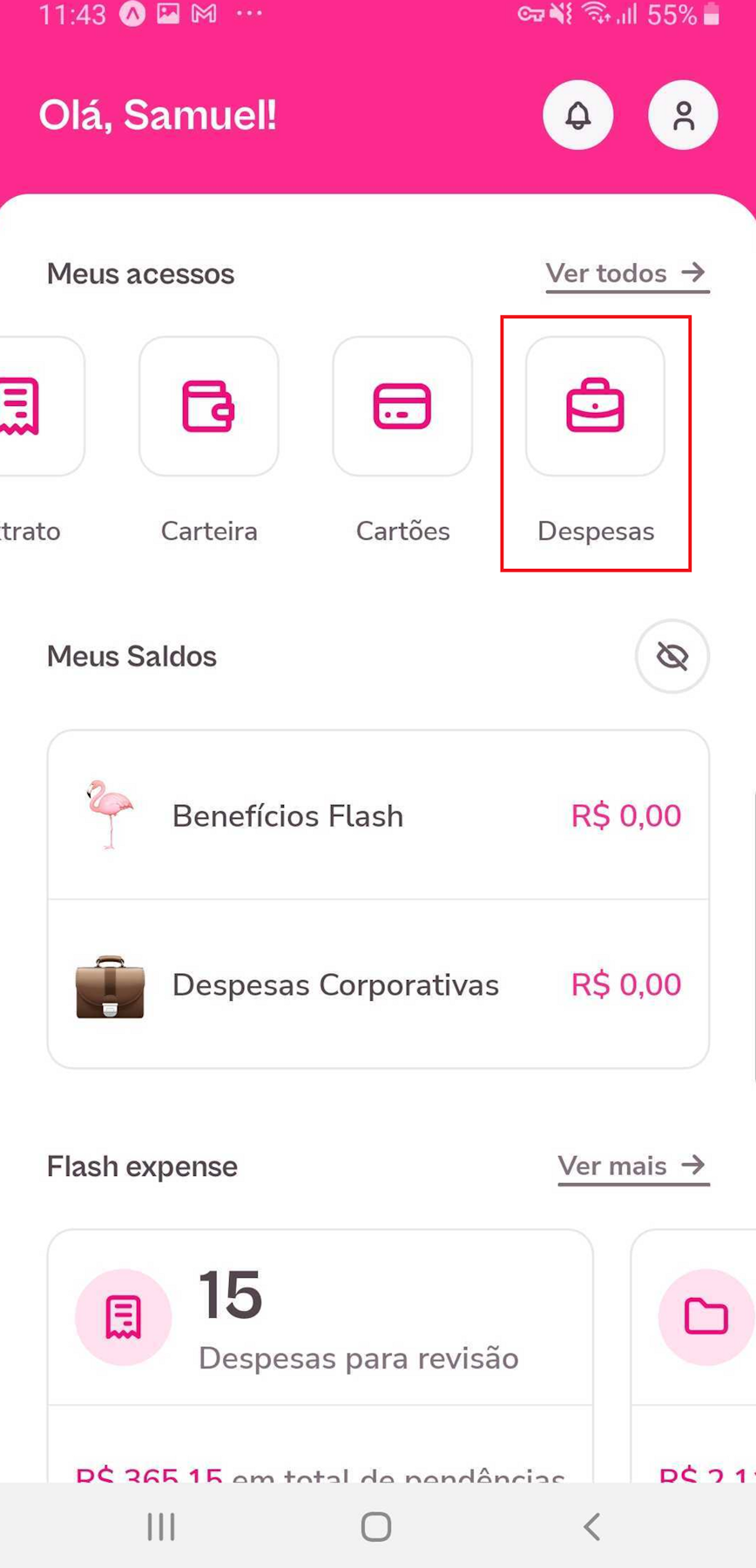 Imagem exemplo do aplicativo com destaque para opção de Despesas.