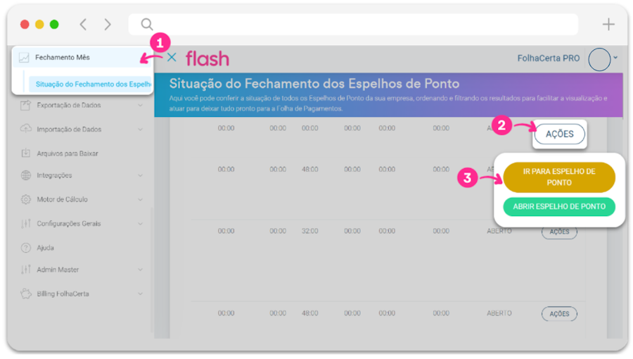 Gerenciar espelho de ponto da equipe. Passo a passo computador Folha Flash