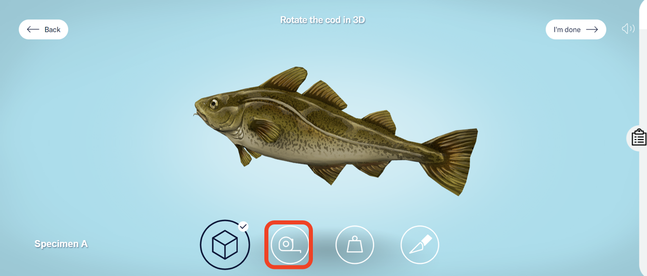 The 3D cod with four icons below it: a cube, a tape measure, a weight, and a scalpel. The tape measure icon is highlighted. - click to enlarge The 3D cod with four icons below it: a cube, a tape measure, a weight, and a scalpel. The tape measure icon is highlighted.