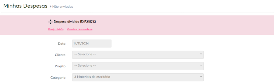 imagem exemplo com dados resumidos das despesas divididas para conferência