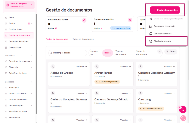 imagem da plataforma com destaque para o botão dividir documento
