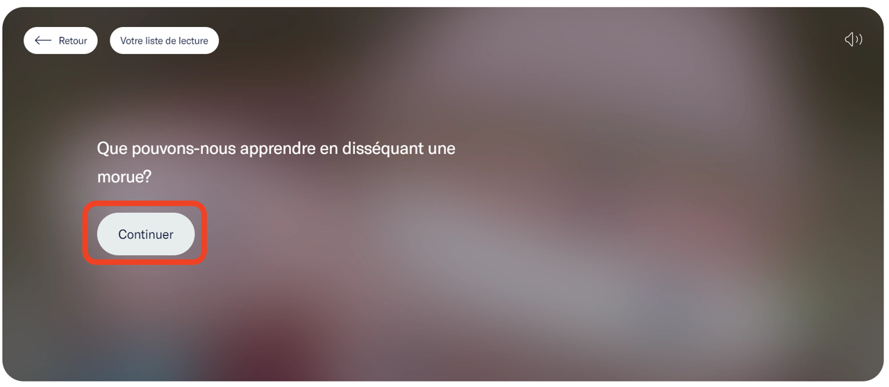 Écran d'information avec un bouton "Continuer". Ce bouton est mis en évidence. - click to enlarge Écran d'information avec un bouton "Continuer". Ce bouton est mis en évidence.