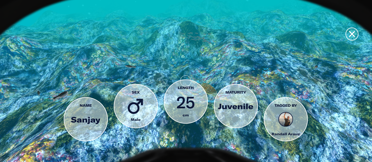 The diver’s screen after scanning a tagged animal. It shows information about the animal’s name, sex, length, and maturity, as well as the name of scientist who tagged it. - click to enlarge The diver’s screen after scanning a tagged animal. It shows information about the animal’s name, sex, length, and maturity, as well as the name of scientist who tagged it.