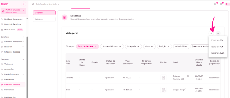 Imagem do menu despesas com as opções de exportação