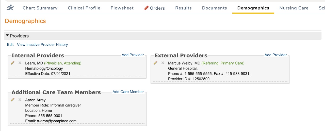 The Providers section under Demographics with 1 Internal Provider, 1 External Provider, and 1 Additional Care Team Member entered - click to enlarge The Providers section under Demographics with 1 Internal Provider, 1 External Provider, and 1 Additional Care Team Member entered