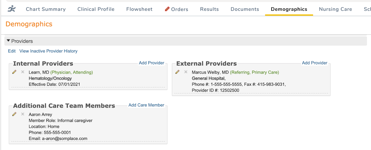 The Providers section under Demographics with 1 Internal Provider, 1 External Provider, and 1 Additional Care Team Member entered - click to enlarge The Providers section under Demographics with 1 Internal Provider, 1 External Provider, and 1 Additional Care Team Member entered