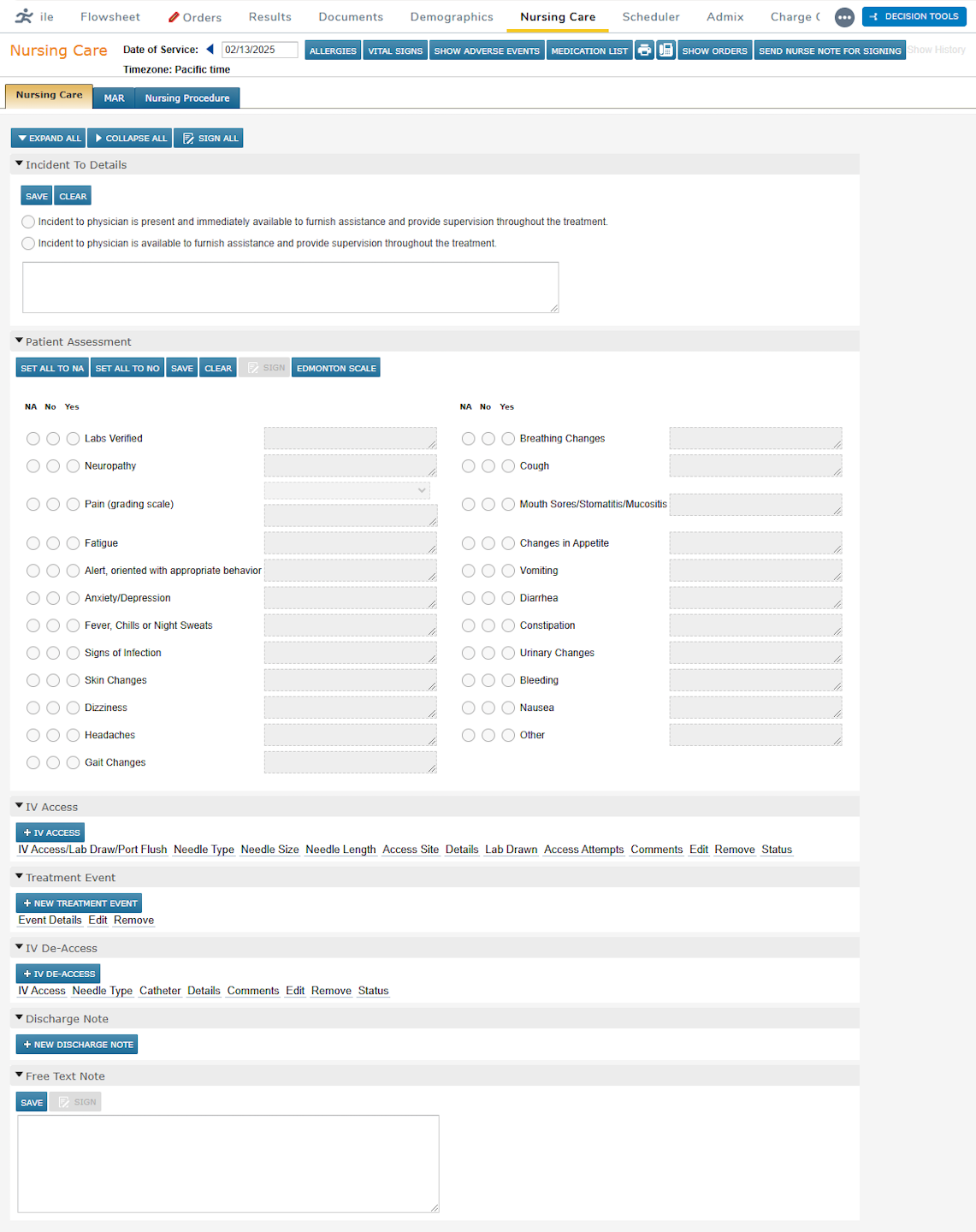 The Nursing Care chart tab - click to enlarge The Nursing Care chart tab
