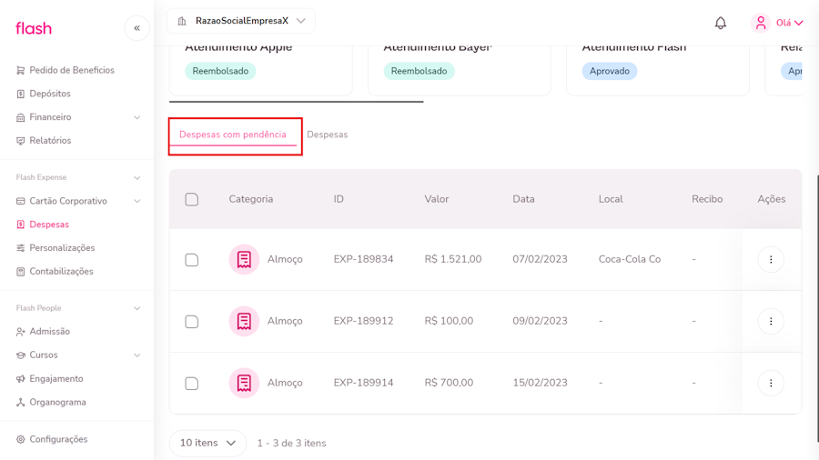imagem da plataforma com destaque para o menu de despesas pendentes
