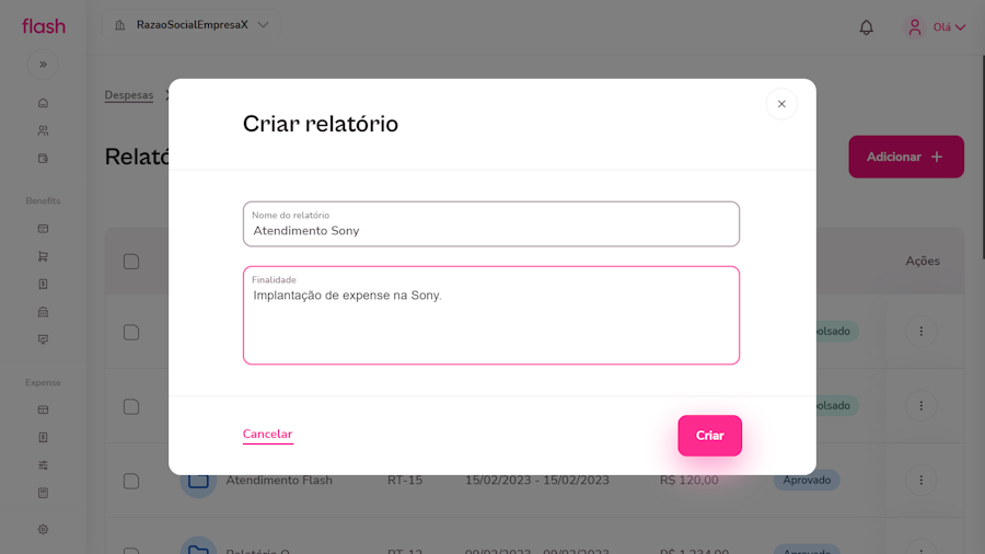 Imagem exemplo da tela de criar relatório.