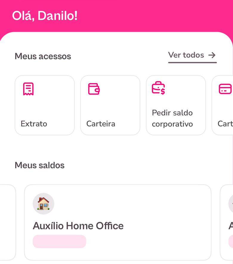 imagem da tela de inicio do aplicativo com informações exemplo